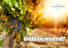 Ansichtkaart 'Gefeliciteerd blauwe druiven'