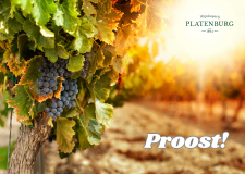 Ansichtkaart 'Proost blauwe druiven'