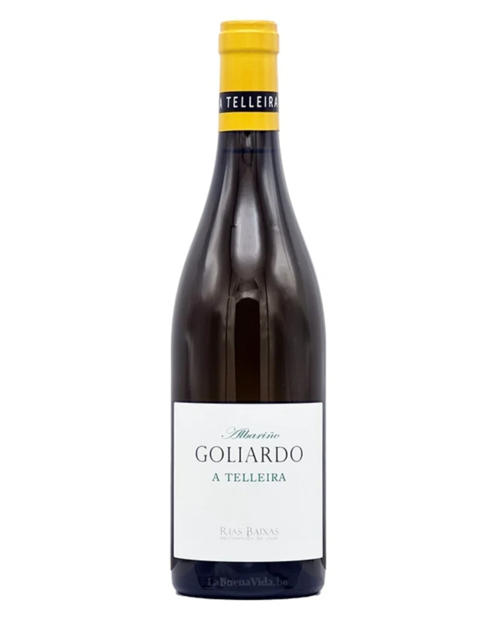 Bodegas Forjas del Salnés Leirana Goliardo A Telleira