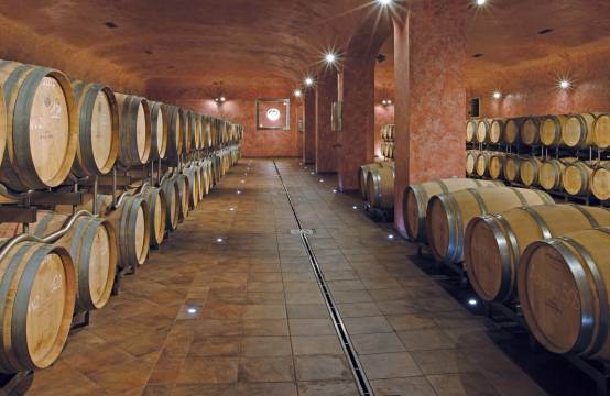 Een blik in de kelder